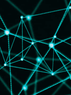 2048x2732