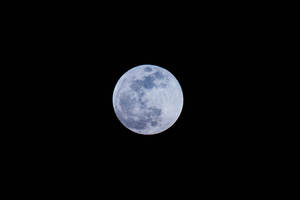 滿月在午夜夜空中明亮照耀，月球表面隕石坑清晰可見。