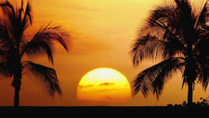 沙灘夕照圖片 — 海灘日落 壁紙