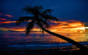 沙灘夕照背景 — 海灘日落 壁紙