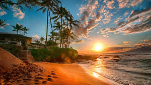 沙灘夕照背景 — 海灘日落 壁紙