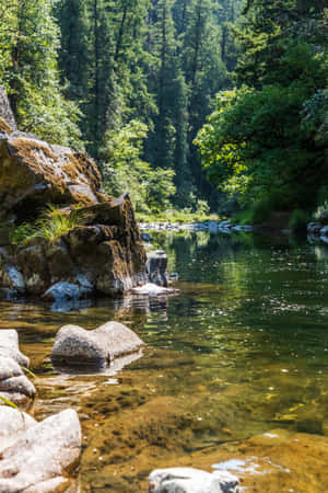 河流背景 — 小米平板9 Pro 壁紙