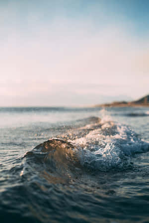 海灘美學圖片