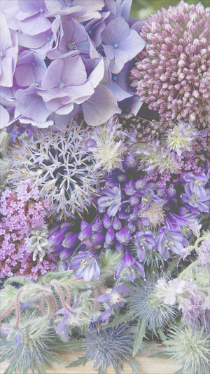 淡紫与紫色花卉iPhone壁纸