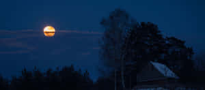 滿月圖片 — 月亮夜空 壁紙