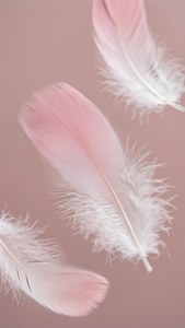 輕柔飄動的淺粉與白色漸層羽毛。 — 淺粉美學 壁紙