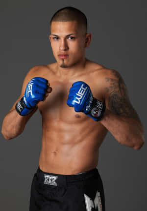 火辣拉丁裔UFC戰士Anthony Pettis — Vivo Pad5 壁紙