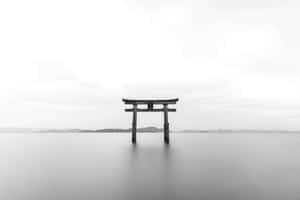 灰色美學圖片 — 灰色调 壁紙