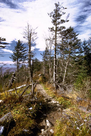 烟雾山上的徒步路径 — 小米平板7 Ultra 壁紙