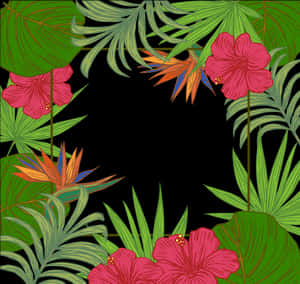 葉片 棕櫚科 樹木 壁紙 棕櫚葉 邊框 - 綠葉花卉邊框，高清PNG下載