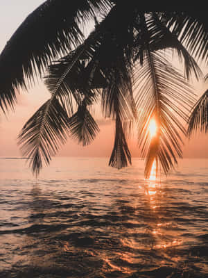海灘夕陽背景 — 海灘日落 壁紙