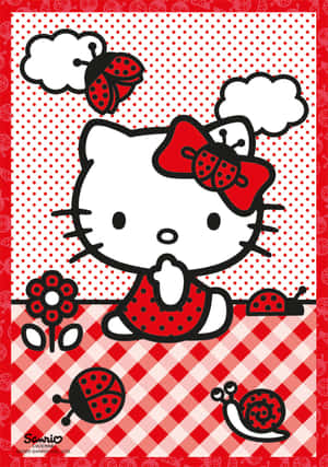 Hello Kitty图片 — Hello kitty 動圖 壁紙