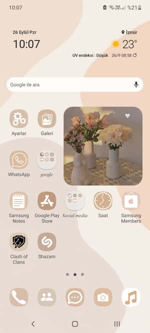 美感小工具圖片 — Pixel 9 壁紙