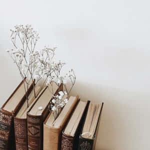 淺棕色美學圖片 — 淺棕色美學 壁紙