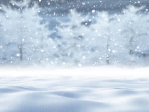 雪景背景 — 冬季美学 壁紙