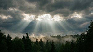 陽光穿透雲層，灑落在霧氣繚繞的森林之上。 — 天空景观 壁紙