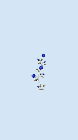 簡約藍色美學藍玫瑰