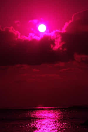 霓虹粉美學圖片 — 海灘日落 壁紙