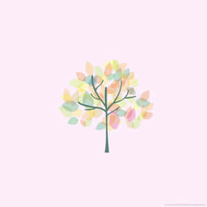 美觀的iPad背景 — 美学 iPad 壁纸 壁紙