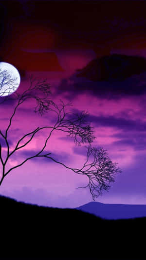 滿月圖片 — 月亮夜空 壁紙