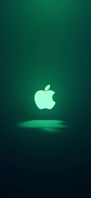 綠色iPhone 11 — Pixel 8 壁紙