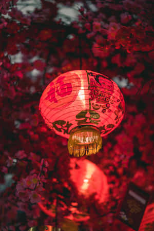 中國背景 — 中国 壁紙