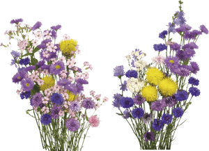 繽紛花束透明背景