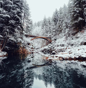雪景美学图片 — 冬季美学 壁紙