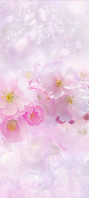 Beautiful Spring — Honor 400 Smart 壁紙