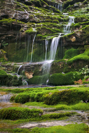 肯塔基自然風景 — 小米平板8 Pro 壁紙