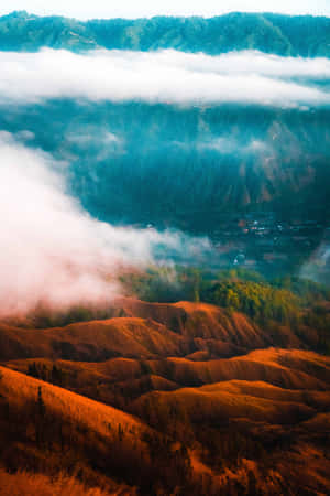 自然背景 — Vivo Pad5 Pro 壁紙