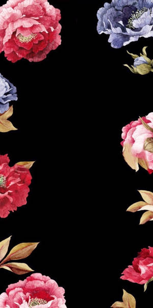 花卉边框 iPhone 壁纸 — 花卉苹果手机 壁紙