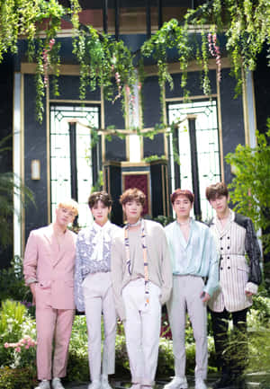 nuest — Kpop 動圖 壁紙