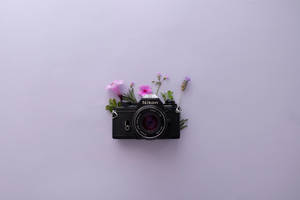 薰衣草美學與Nikon相機