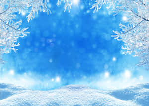 冬日雪景背景 — 冬季美学 壁紙
