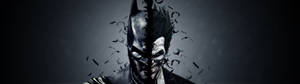 蝙蝠侠与小丑合二为一的灰色双屏壁纸