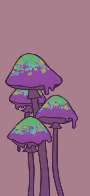迷幻美學