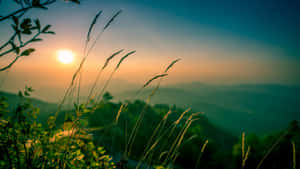 起伏丘陵與壯麗夕陽的寧靜風景
