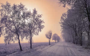 通往雪景美景的滑溜冰路 — 16:10 壁紙