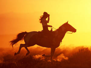 鄉村西部騎馬奔向夕陽