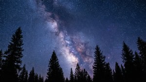 繁星点点的夜空下，银河横跨松树剪影之上。 — 天空景观 壁紙