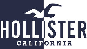 雙色調 Hollister 標誌桌布 — Chromebook 壁紙