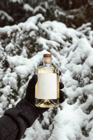 雪中琴酒 — 锁屏 壁紙