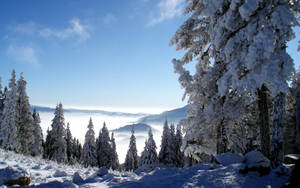 雪山风景景观壁纸 — 寒冷 壁紙