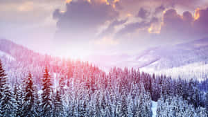 雪景美學圖片 — 雪景美學 壁紙