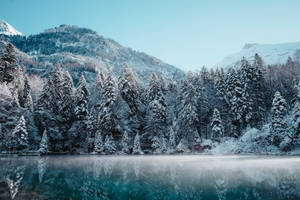 雪景美學倒映桌布 — 雪景美學 壁紙