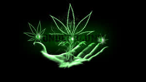 大麻图片 — 霓虹绿 壁紙
