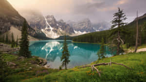風景、水、冒險、旅行、旅行桌面、高山、森林、森林背景、森林綠色美學、山、山景美學、山景、湖泊、湖景、風景、自然、自然4K、自然風景 — 森林 壁紙