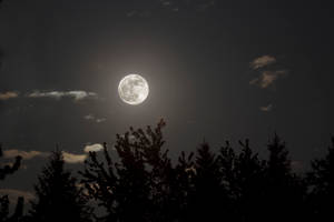 靜夜美月 — 月亮夜空 壁紙