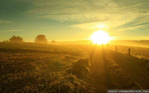 驚豔夏日豔陽桌布